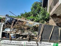 Types of Items We Remove From Your Property in Cayuga, IN